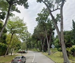 Serangoon Garden Estate (D19), Detached #462112071